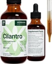 Cilantro Leaf 4 fl oz Liquid Extract - Organic Coriandrum Sativum Dryps til Krop Rensning & Detox - Natural Calming Herbal tinktur supplement til nervesystemet - Høj potens - 90-dages forsyning