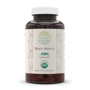 HerbEra Black Walnut 500 mg | USDA Organic Vegan Capsules | Digestive & Antioxidant Support, Juglans Nigra Dried Hull | Herbal Supplement (120 Capsules)