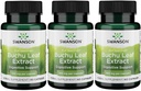 Swanson Buchu Leaf - 4:1 Extract - Herbal Supplement - (60 Capsules, 100mg Each) 3 Pack