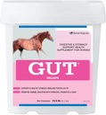 Gut ™ Pelletter Note 124; Sund Gut Probiotika til Heste