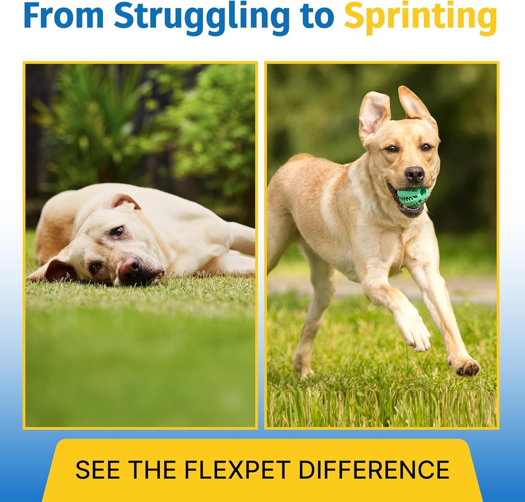 Hip & Joint Support for Dogs & Cats with Cetyl Myristoleate, Glucosamin, Collagen, MSM - Advanced Joint Support for Mobility, Senior Pets, Small & Large Breeds - 180 tabletter (Pork Lever)