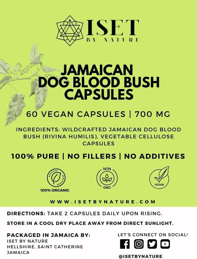 Iset By Nature Jamaican Dog Blood Bush Kapsler 1400mg - Fertility Supplements for Women to Support Hormone Balance & Conception, PCOS Relief med Organic Jamaican Dog Blood Herb - 60 Kapsler, Vegan