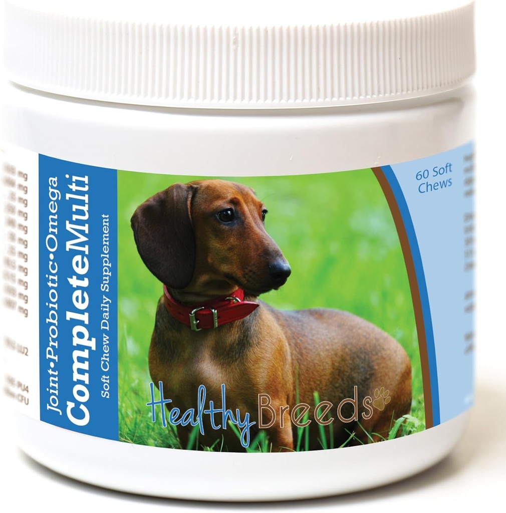 Sunde racer Dachshund Alt i én Multivitamin Soft Chew 60 Greve