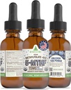 RawGuru L- Methylfolat 15 mg + vitamin B12 - Organic Vegan Methylerede B12 med spor Mineraler - Nano- Forarbejdede og forbedrede flydende formel - 300 Servere Vegan dråber pr 30 ml, pakke med 1
