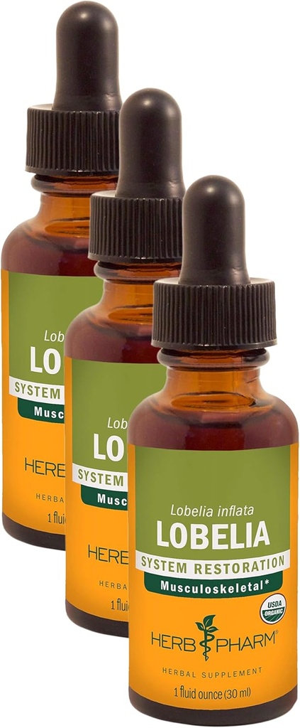 Herb Pharm Certified Organic Lobelia Liquid Extract for Moscular System Support - 1 Ounce (DLOBEL01) (Pack of 3)
