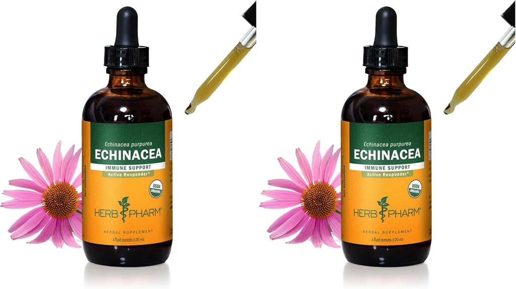 Herb Pharm Certified Organic Echinacea Root Liquid Extract for Immunsystem Support, Organic Cane Alcohol, 4 Ounce (Pack of 2)