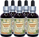 Dronningens rod (Stillingia Sylvatica) Tinktur, Tørrede rødder flydende ekstrakt (Brand Name: HerbalTerra, Stolt Made in USA) 5x2 fl.oz (5x60 ml)