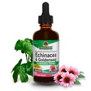 Nature's Answer Echinacea and Goldenseal Root with Organic Alcohol 1000mg 2oz Extract | 5mg Berbine, 2.5mg Hydrastine, 10mg Polyphenols Per Serving | Supports Immune System | Single Count