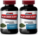 Pure Green Superfood fra Klamath Lake til at fremme healthere og yngre leder Hud - Blue Green Algae 500mg, Blue Green Algae Kapsler, Blue Green spirulina, spirulina, chlorella - 2B 120 Cap