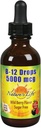 Nature 's Life B- 12 Drops, Metlycobalamin 4 oz (2 Fl Oz (pakning med 1))