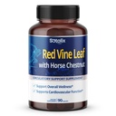 Red Vin Leaf og Horse Chestnut, 50% Flavonoider til Ben Vein Support, Hud, Heart Wellness - Made in USA