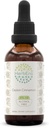 Ceylon Cinnamon B60 Alcohol-Free Herbal Extract Tincture, Concentrated Liquid Drops Natural Cinnamon (Cinnamomum Verum) (2 fl oz)