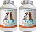 Knogler og fælles sundhed for hunde - hund LYSINE pulver - Pure Powder Form - Immunsystemet Support - Vet Anbefalet - lysin Bulk - 2 Flaske (16oz 453.6 Bedste)