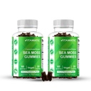 Vitamatic Irish Sea Moss Gummies with Bladderwrack & Burdock Root – Botanical Extract Supplement – Vegan, Non-GMO – 60 Count - 2 Pack (120 Count)