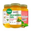 Sea Moss Gel Ashwagandha Mango (25 Arme) 24oz Wildсrafted Gold Sea Moss Gel fra Saint Lucia again124; 92 Vitamin og mineraler area 124; Pure Raw + Non- GMO
