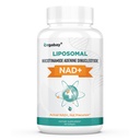 Orgabay Liposomal NAD + Supplement 500 mg, Høj Absorption, Boost NAD + med TMG 250 mg, Faktisk NAD Plus mere effektiv end Nicotinamid Riboside, Support Cellular Energy, Sund Aging