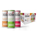 Reneva Collagen Protein Drink - 10g Collagen Peptider, Elektrolyter, B- Vitamin, Zink, og Zero Sugar (Variety Pack)