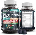 Teraminal Shilajit Gummies med Irish Sea Moss Tongkat Ali Ashwagandha Lions Mane MACA Panax Ginseng Rhodiola & Cordyceps af Clean Nutra (1)