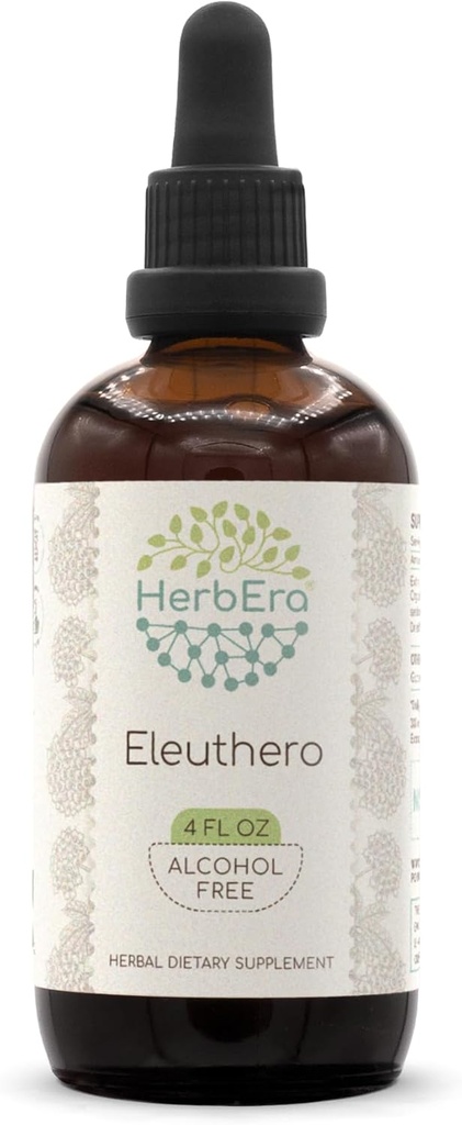 HerbEra Eleuthero B120 Alkohol- Free Herbal Extract Tinktur, Koncentrerede flydende dråber Natural (Eleutherococcus Senticosus, Sibirisk Ginseng) 4 fl oz