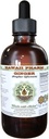 Ingefær Alkohol- Free Liquid Extract, Organic Ingefær (Zingiber officinale) Tørret Root Glycerite Hawaii Pharm Natural Herbal Supplement 2 oz