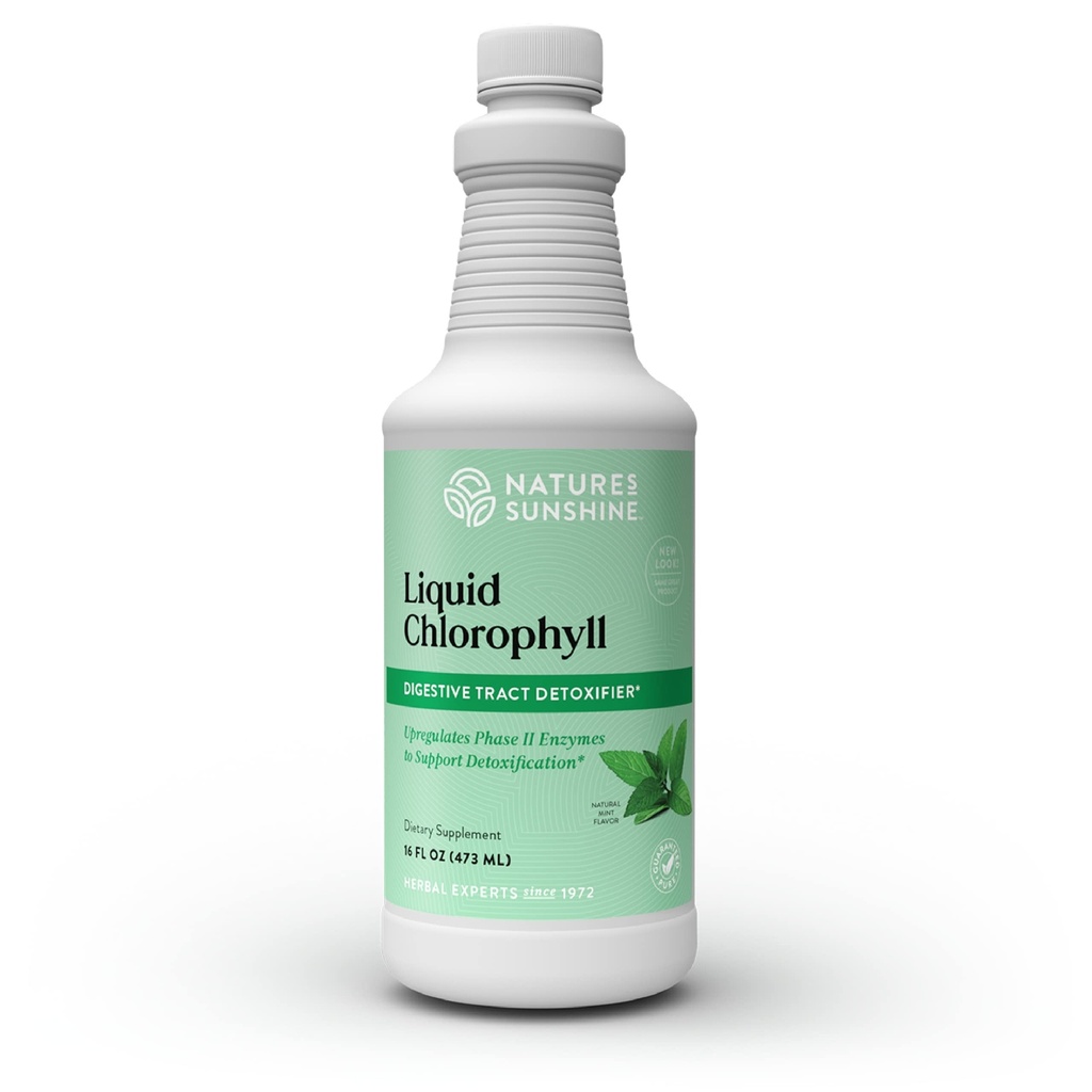 Nature 's Sunshine Liquid Chlorophyll - Immunity Support, Detox & Cleanse, Chlorophyll Liquid Drops med Spearmint Oil, Natural Energy Boost, Intern Deodorant - 16 Fl Oz