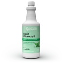 Nature 's Sunshine Liquid Chlorophyll - Immunity Support, Detox & Cleanse, Chlorophyll Liquid Drops med Spearmint Oil, Natural Energy Boost, Intern Deodorant - 16 Fl Oz