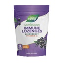 Nature 's Way Sambucus Immunlozenges, High Potency Vitamin C, Elderberry, 24 Tropical Flavored Lozenges (Packaging May Vary)
