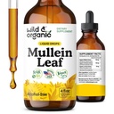 Wild & Organic Mullein Tincture - Lung Cleanse and Detox - Flydende Mullein Leaf Extract til Lunger med Echinacea - Verbascum Thapsus Drops - Vegan, Sugar & Alcohol- Free Supplement - 4 fl oz
