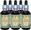 Hvid Willow (Salix Alba) Glycerit, Organic Tørret Bark Alkohol- GRATIS Liquid Extract (Brand name: HerbalTerra, Stolt fremstillet i USA) 5x2 fl.oz (5x60 ml)