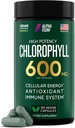 Chlorophyll kapsler 600 mg - Natural Chlorophyll piller til kvinder og mænd - Meget biotilgængelig Chlorophyll supplement for energi, immunitet, hud + intern deodorant