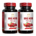 URIC Acid - Premium uric Acid Support with Celery Seed and Turmeric Extract, Joint Comfort and Mobility Support Capsules Men & Women - 2 Bottles 120 Capsules