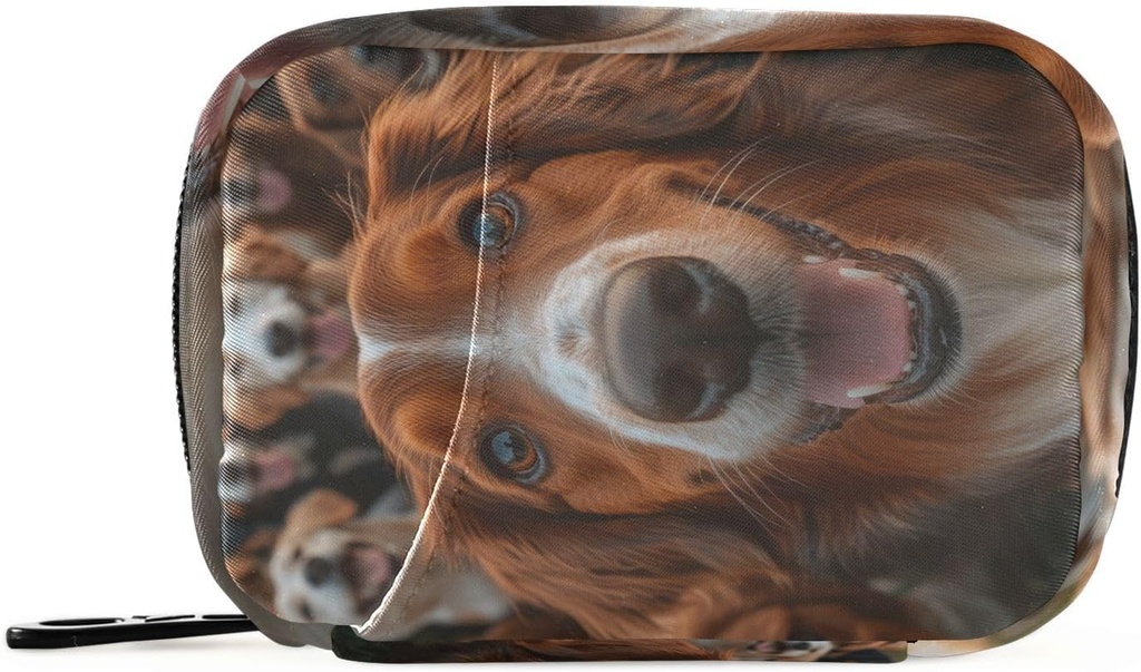 Ugentlig Pill Organizer Gruppe Hunde Golden Retriever Lille Pill Box Bag Portable Travel Pill sag 7 dage Vitamin supplement Holder med lynlås til familie Business Camping