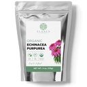 Organic Echinacea Purpurea 4 oz. (113g), USDA Certified Tørret Echinacea Tea, Premium Quality Herb, Purple Coneflower, Cut & Sifted