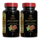 Candida Support Complex - Organic captures, Candida supplement, naturlige urter til intestinal Detox, voksne regelmæssighed og Gut sundhed - 2 flasker 120 kapsler