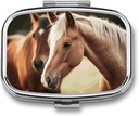 Pill Box 2 Segment Medicine Pill Case Adorable Horse Printed Portable Pill Box Travel Pill Organizer for Pocket Purse Daily Medicine Vitamin Box Fish Oil Box Supplement Box