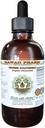 Kinesisk Guldtråd Alkohol- Free Liquid Extract, Kinesisk Guldtråd (Coptis Chinensis) Tørret Root Glycerit Hawaii Pharm Natural Herbal Supplement 2oz