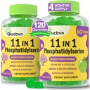(2 Paks) Phosphatidylserin 600mg Gummies, Brain Supplement for Memory, Focus and Concentration - Phosphatidylserin Memory Supplement med Alpha GPC, B6 & B12 for Brain and Cognitive, 120 Gummies