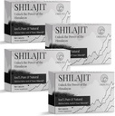 30. 000 MG Shilajit Tablets, 100% Shilajit Pure, Himalayan Organic, Shilajit for mænd og kvinder Rich in Fulvic Acid & 85 + Trace Minerals, Shilajit supplement til energi & immunsystem, 240 Tæl