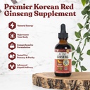 Aktiv Ginseng Koreansk Rød Panax Ginseng med naturlige Ginsenosider - Fast- Absorbing Væske - Understøtter sund energi, Vitality, Mood og mere