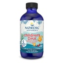 Nordic Naturals Children 's DHA, Strawberry - 4 oz for Kids - 530 mg Omega-3 med EPA & DHA - Brain Development & Function - Non- GMO - 48 Servering