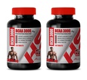Muskel Builder piller til mænd - BRANCHED Chain Aminosyre - BCAA 3000MG - bcaa Train and Recover - 2 flasker 240 tabletter