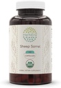 HerbEra Sheep Sorrel USDA Organic 120 Capsules ttesmå 124; Natural Herbal Supplements 124; Certified Organic Vegetary Capsules and Organic Sheep Sorrel (Rumex Acetosella) Tørret Herb (120 Capsules)