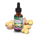 Naturens svar Ingefær Root Extract supplement med organisk alkohol 1 Væske Ounce Note 124; fælles smertelindring