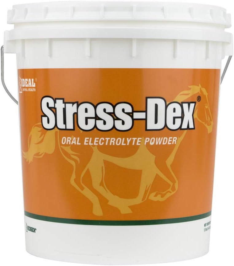Stress- Dex 12lb, Orange