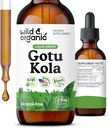 Wild & Organic Gotu Kola Herb Tinktur - Brain Support - Gotu Kola flydende ekstrakt dråber - Vegan, Sukker & Alkohol- Gratis Centella Asiatica Supplement - 2 fl oz
