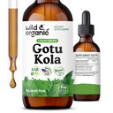 Wild & Organic Gotu Kola Herb Tinktur - Brain Support - Gotu Kola flydende ekstrakt dråber - Vegan, Sukker & Alkohol- Gratis Centella Asiatica Supplement - 2 fl oz