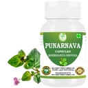 Punarnava Capsules (Boerhaavia Diffusa) 500mg - 60 Veg Capsules Б124; Urtewellness Supplement for Natural Nyre & Liver Support Detox & Cleansing Formel 124; Pakning med 1