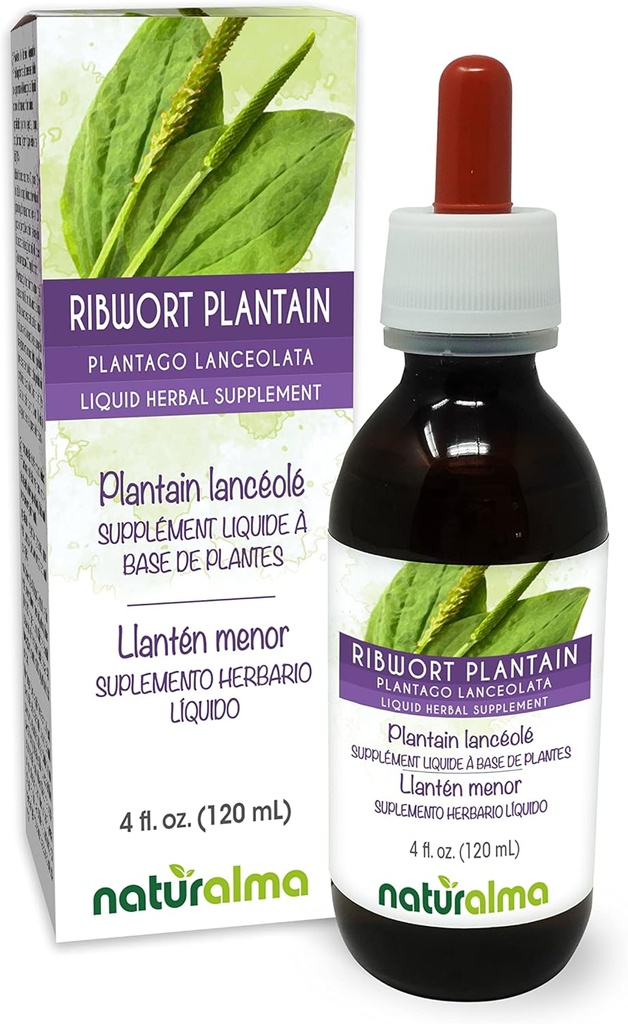 Naturalma Ribwort Plantain eller Narrowort Plantain (Plantago lanceolata) Leaf Alkohol- Free Tincture - 4 fl oz flydende ekstrakt i drops - Urtetilskud - Vegan