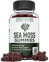 Irish Sea Moss Gummies - 3000MG - Formulated w/ Irish Sea Moss, Bladderwrack & Burdock Root, Contain Essential Vitamin & Mineral - Antioxidant-Rich Superfood Supplement, 60 Sea Moss Gummies for Adults