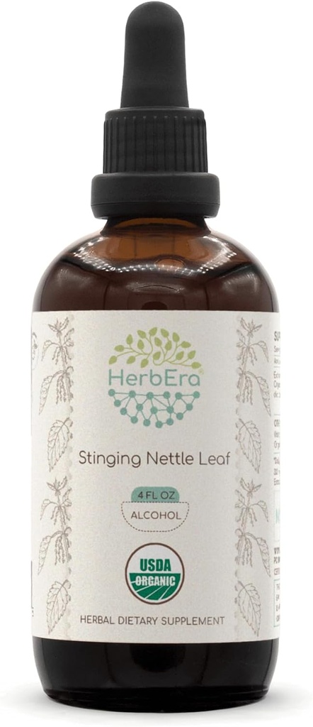 HerbEra Stinging Nettle Leaf A120 USDA Organic Tincture szág 124; Alkohol Extract, High- Potency Herbal Drops # 124; Certified Organic Stinging Nettle (Urtica Dioica) Tørret Leaf (4 oz)